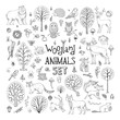 Vector doodles woodland animals set.