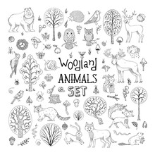 Vector Doodles Woodland Animals Set.