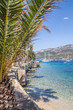 Widok z pod palmy, wakacje, Chorwacja, wyspa Korcula