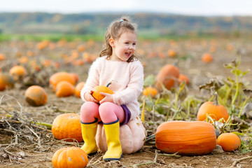 little girl farming on pumpkin patch