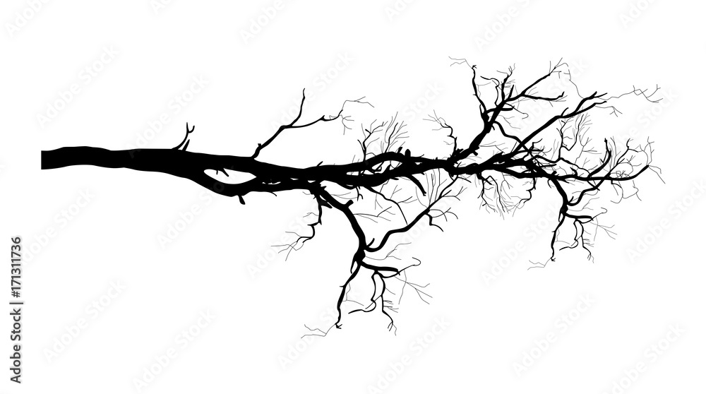 Dry Tree Branch Vector Shape Design - obrazy, fototapety, plakaty 