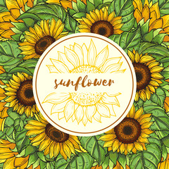 Poster - background illustration with sunflowers and place for your text