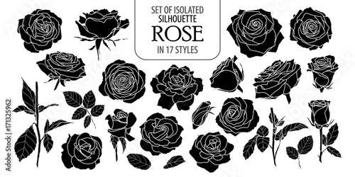Photo Set of isolated rose in 17 styles