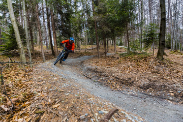 Wall Mural - Cycling in autumn mountains forest landscape. Man cycling MTB enduro flow trail track. Outdoor sport activity.