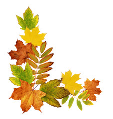 Wall Mural - colorful autumn leaves in a corner arrangement