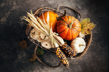 Wall Mural - pumpkins and corn in the basket, top view.