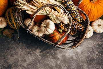 Wall Mural - pumpkins and corn in the basket, top view.