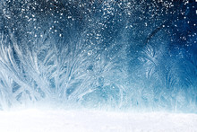 Fairy Tale Forest On Window Frost