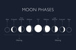 Moon phases vector background
