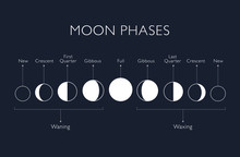 Moon Phases Vector Background