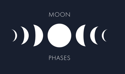 Wall Mural - moon phases vector background
