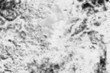 © BearOK - Abstract monochrome halftone pattern.