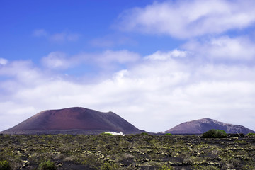 Wall Mural - Volcano - The Wine Valley of La Geria / Lanzarote / Canary Islands