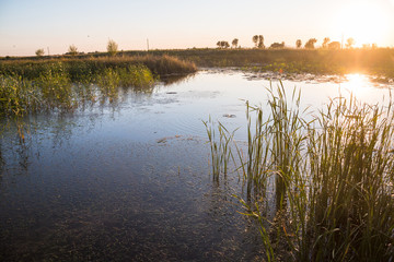 Autumn wetlands