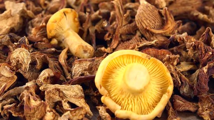 Canvas Print - Dried Chanterelles as detailed 4K UHD footage (seamless loopable)