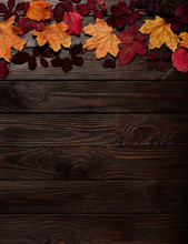 Flat Lay Frame Of Autumn Crimson And Yellow Leaves On A Dark Wooden Background.