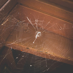 Spider web in the corner of an old door frame