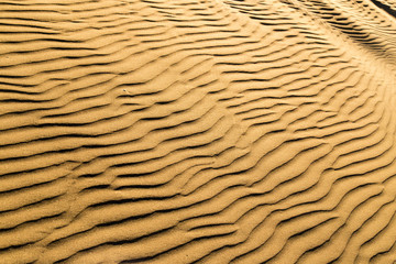 Sticker - Sand in the desert as a background