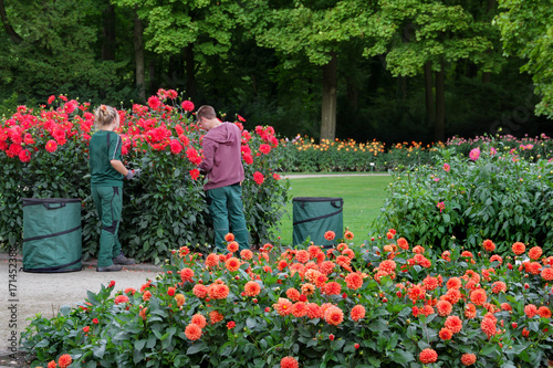 Garten Dresden Kaufen