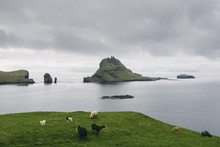 High Angle View Of Sheep And Goat Grazing On Hill By Sea Against Stormy Clouds