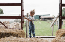 Girl Removing Chain From Gate Against Clear Sky At Farm