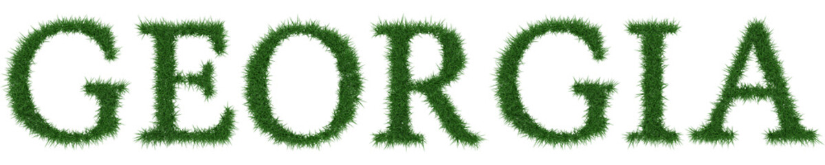 Fototapete - Georgia - 3D rendering fresh Grass letters isolated on whhite background.