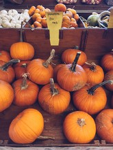 Selling Pumpkins At Market