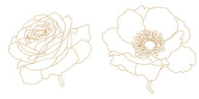Set Of Golden Graphical Flowers, Anemone, Poppy, Rose. Vector.