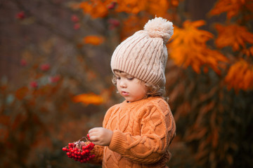 Adorable toddler girl portrait on beautiful autumn day