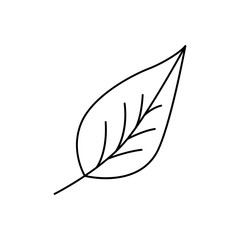 Wall Mural - modern thin line icon of leaf. premium quality outline symbol. simple mono linear pictogram, drawing