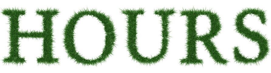 Fototapete - Hours - 3D rendering fresh Grass letters isolated on whhite background.