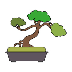 Wall Mural - bonsai tree japan related icon image vector illustration design 