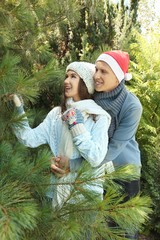 Poster - Young happy couple at Christmas tree market