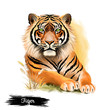 Tiger head isolated on white background digital art illustration. Wildlife safari animal, symbol of chinese horoscope, portrait of render predator, big angry striped cat, jungle mascot mammal