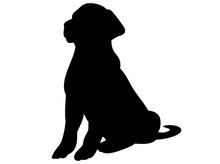 Vector, Isolated Black Silhouette Of A Dog Sitting