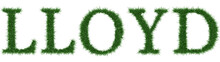 Lloyd - 3D Rendering Fresh Grass Letters Isolated On Whhite Background.