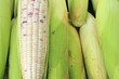 fresh corn at market