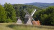 landschafts panorama mit wald, wiese und windmühle im teutoburger wald