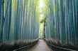 © Wells/Stocksy - arashiyama japanese bamboo forest, Kyoto, Japan