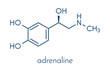Adrenaline (adrenalin, epinephrine) neurotransmitter molecule. Used as drug in treatment of anaphylaxis Skeletal formula.