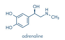 Adrenaline (adrenalin, Epinephrine) Neurotransmitter Molecule. Used As Drug In Treatment Of Anaphylaxis Skeletal Formula.