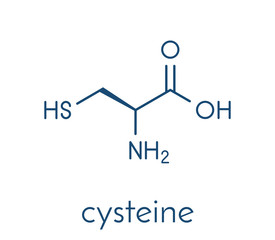 Sticker - Cysteine (l-cysteine, Cys, C) amino acid molecule. Skeletal formula.