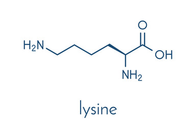 Poster - Lysine (l-lysine, Lys, K) amino acid molecule. Skeletal formula.