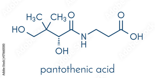 Vitamin B5 Pantothenic Acid Pantothenate Molecule