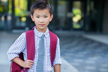 Portrait Of Boy Carrying A Backpack In School