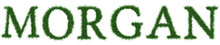 Morgan - 3D Rendering Fresh Grass Letters Isolated On Whhite Background.