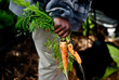 © Cari - Urban School Garden