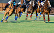 Horses and Polo player