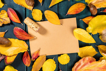 Wall Mural - Autumn wine design template with cork and leaves