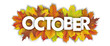 Autumn Foliage Fall Header October